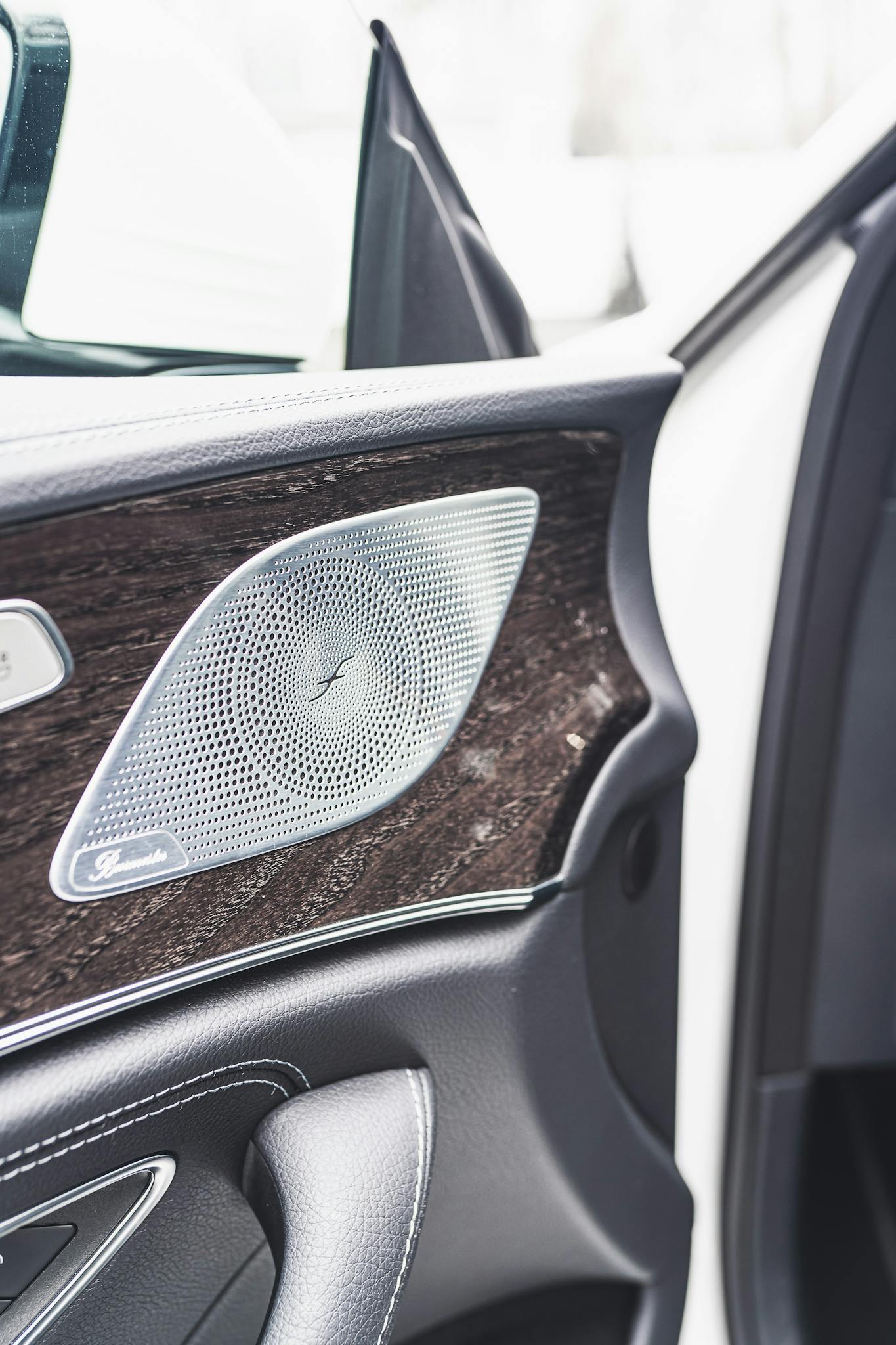 Close-up of a luxury car door with a stylish speaker and leather accents.